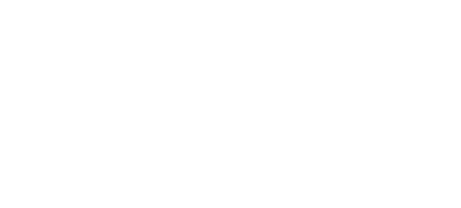 logo-ahm